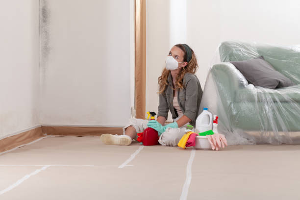 Reliable Basement Mold Remediation contractor in Wade, NC by Mold Remediation HQ